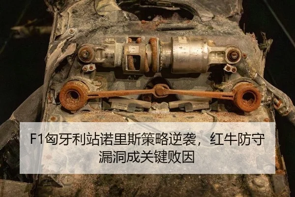 xiong-ya-li-zhan-nuo-li-si-ce-lve-ni-xi-hong-niu-fang-shou-lou-dong-cheng-guan-jian-bai-yin-2-748.jpg