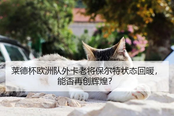 莱德杯欧洲队外卡老将保尔特状态回暖，能否再创辉煌？