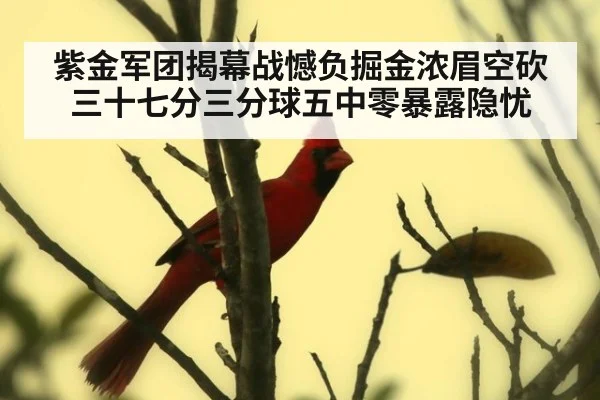紫金军团揭幕战憾负掘金浓眉空砍三十七分三分球五中零暴露隐忧